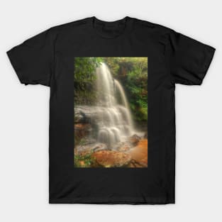 Federal Falls gold T-Shirt